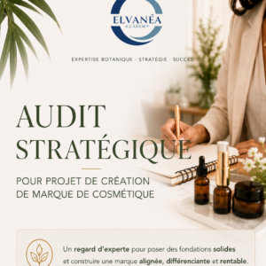 Audit stratégique