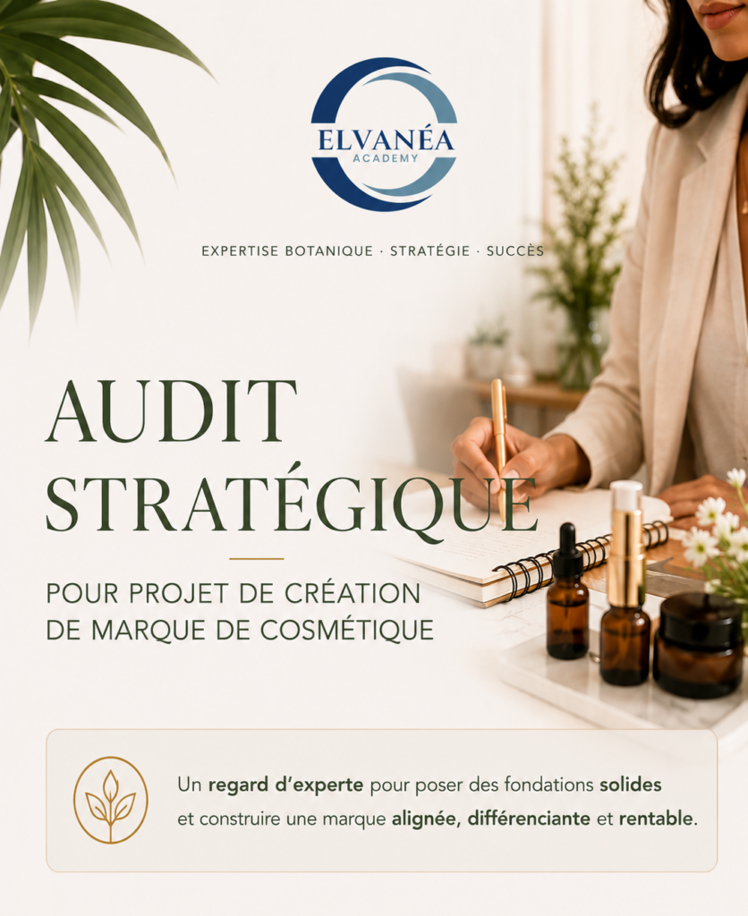 Audit stratégique
