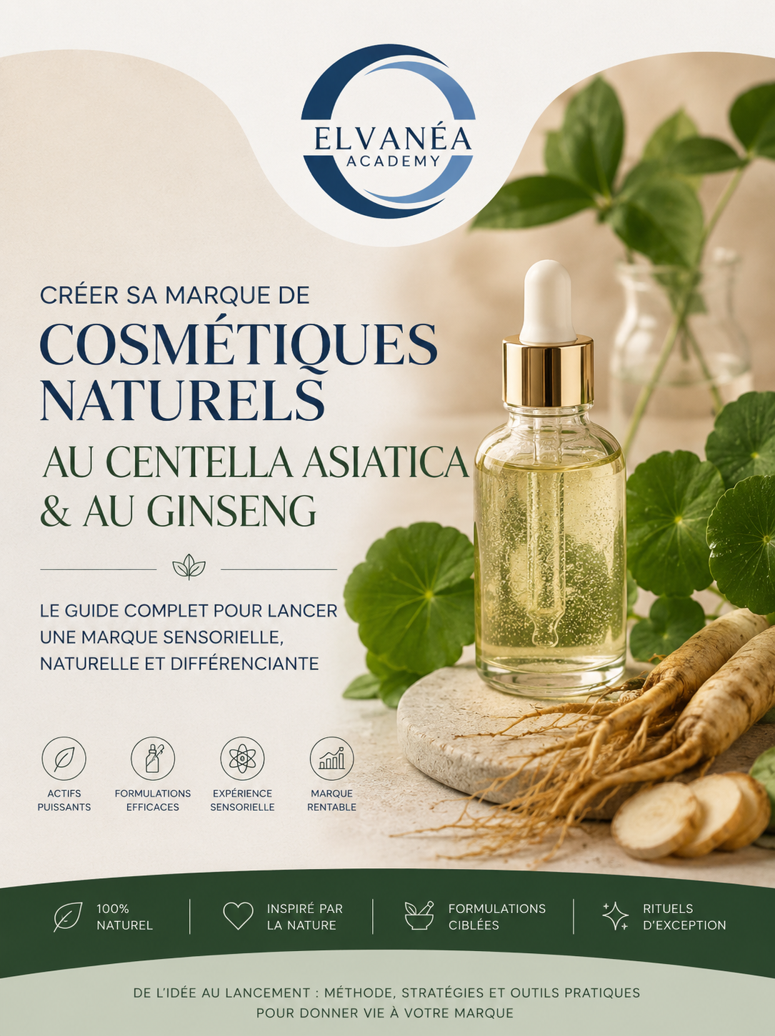 Créer sa marque de cosmétiques naturelles au centella asiatica et ginseng